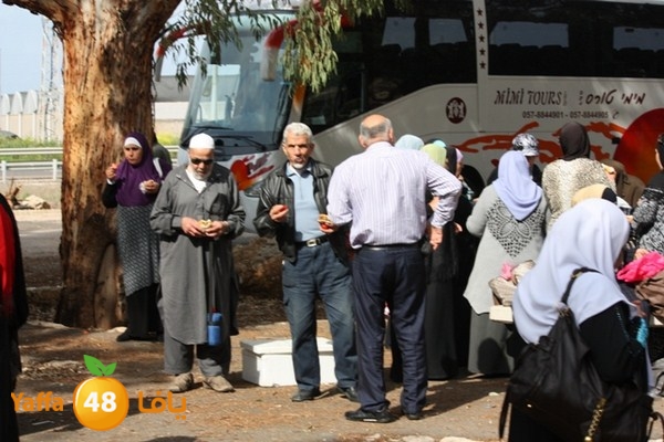 re7la7efa483 (8).JPG